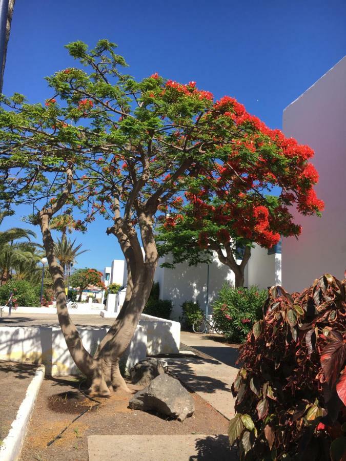 Los Barqueros Corralejo "Beach Front - Town Centre" 아파트 외부 사진